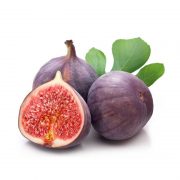 Anjeer,-Common-fig—Plant-1